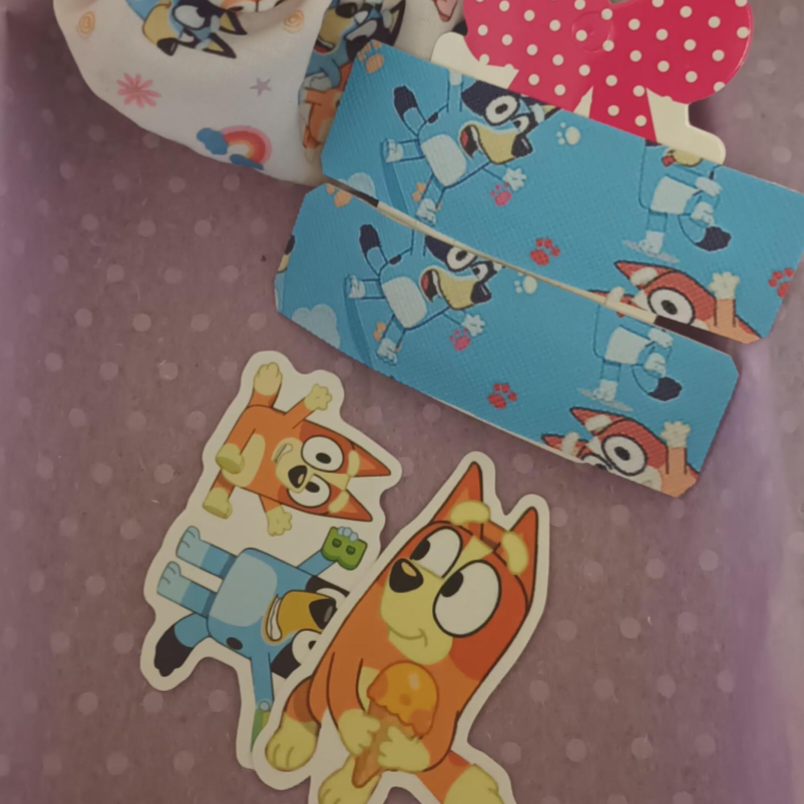 Bluey and bingo chatacter hair clips